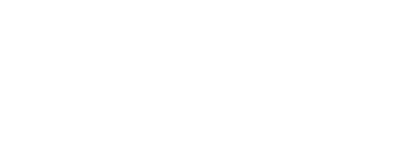 White and Blue Winston's Chimney Service Logo